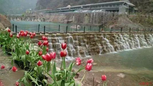 雏菊花园逃生